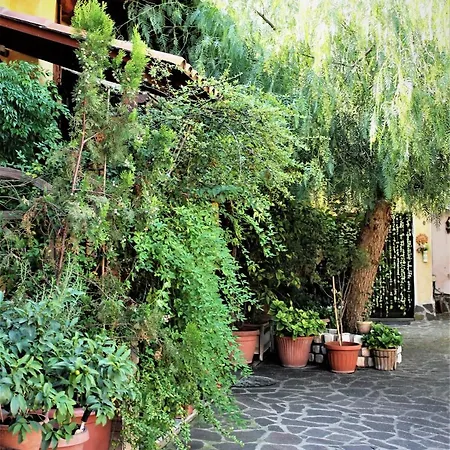 I Gerani Rossi Pensionat Rom