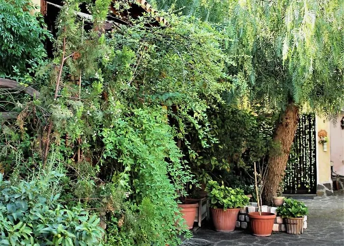 I Gerani Rossi Gæstehus Rom